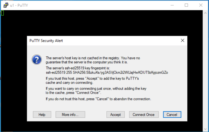 Putty-2.png