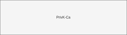 drawio: TLS CA PrivK