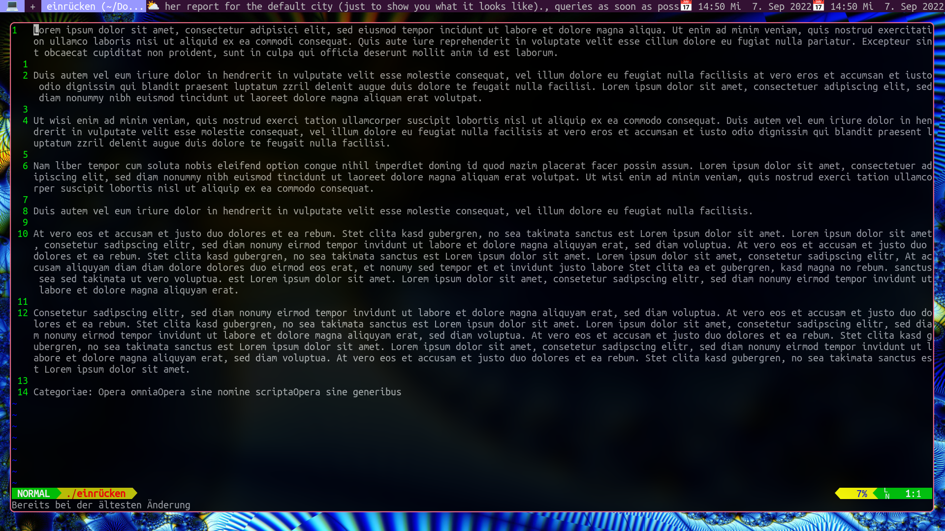Vim-ausgangszustand-absatz-formatieren.png