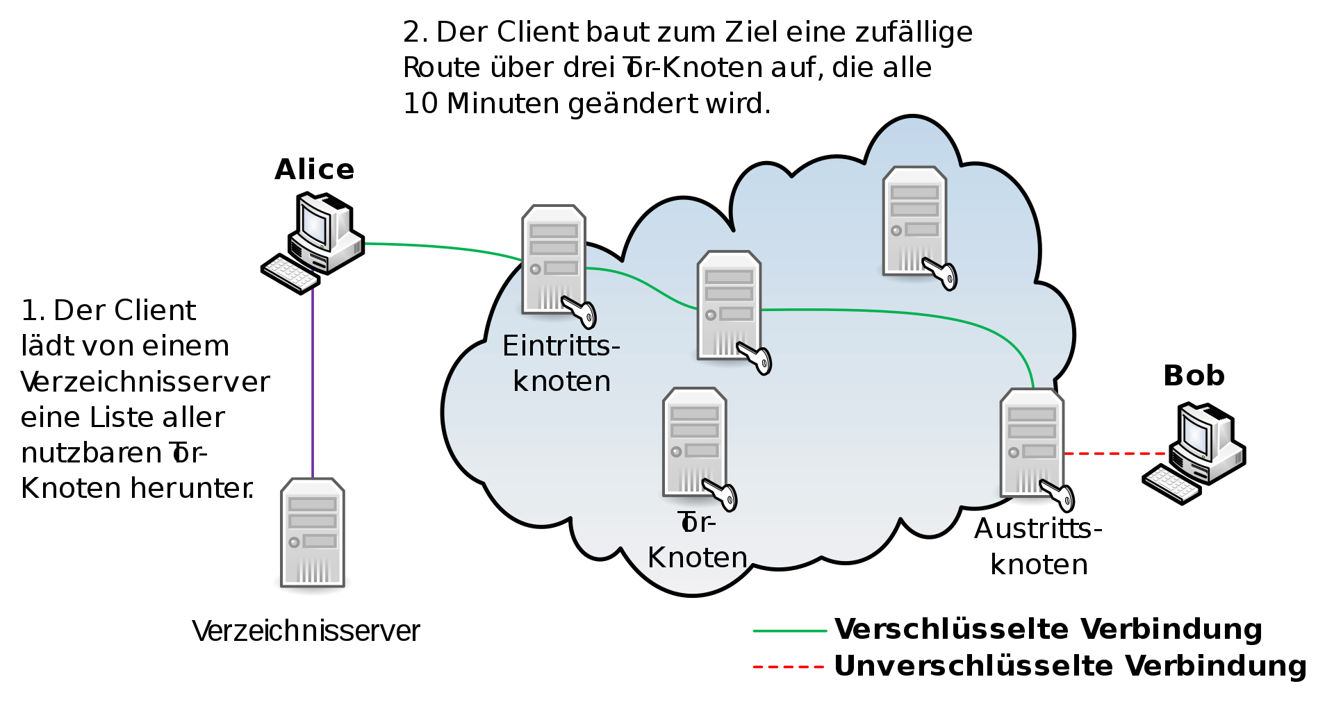 Tor-1.png