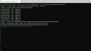 Wndows Terminal Docker1.png