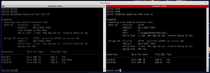 Spanning-Tree.png
