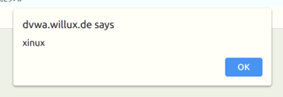 Xss-3.png