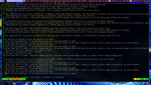 Vim-zeilen-formatieren-ergebnis.png