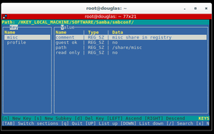Samba-regedit.jpg
