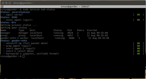 Security-onion-nsm-1.png