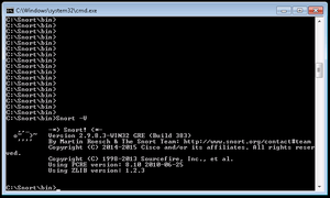 Snort-windows-3.png