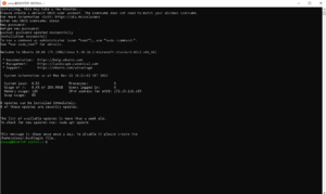 WSL Ubuntu Run.png