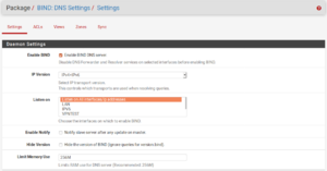 Pfsense-bind-settings.png