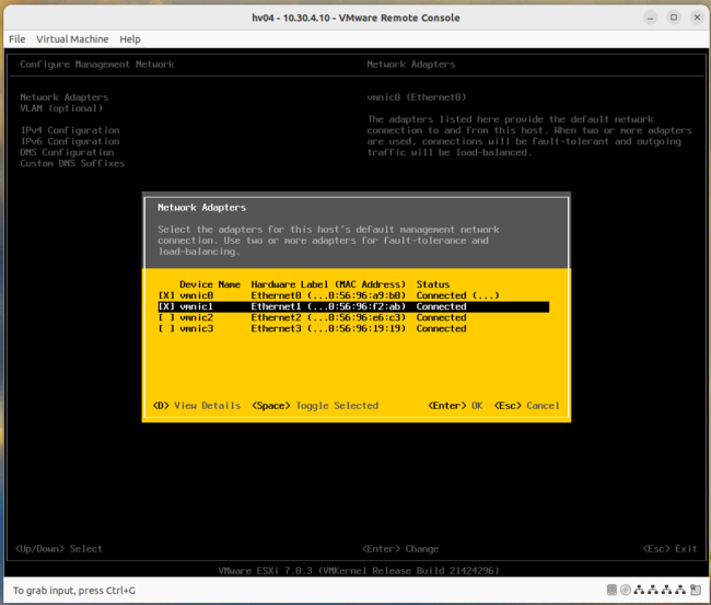 Esxi-anpassungen-4.png