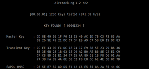 Wlan1mon4.jpg