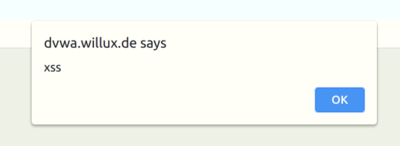 Xss-1.png