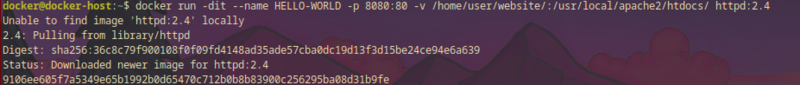 Datei:Docker-run.png